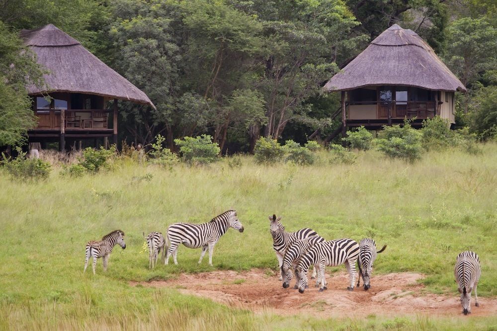 Ivory Lodge Dete Exterior foto