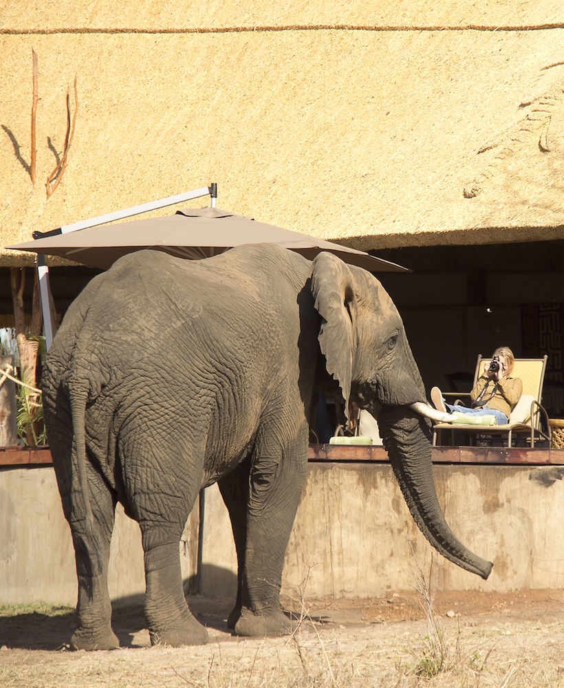 Ivory Lodge Dete Exterior foto