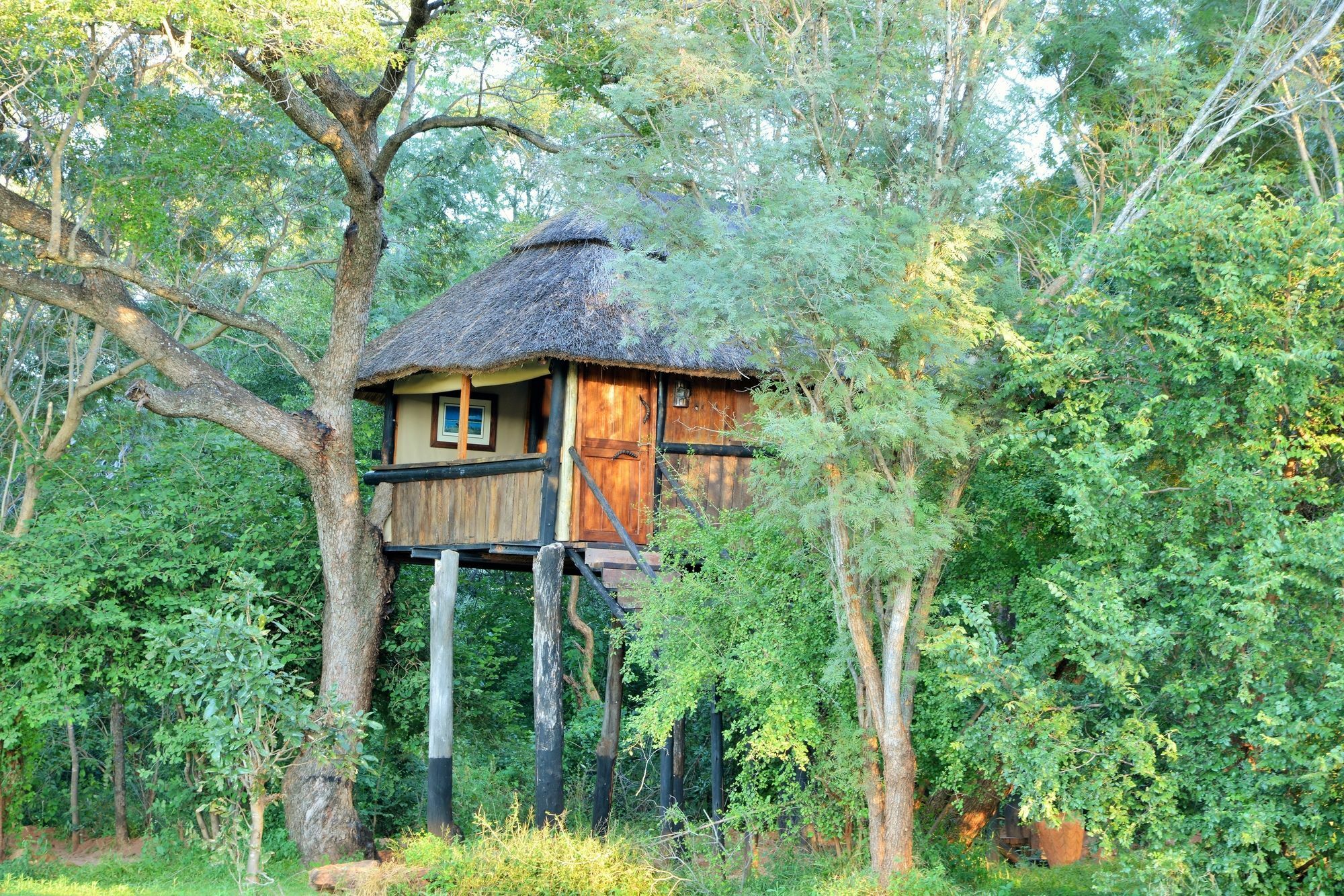 Ivory Lodge Dete Exterior foto